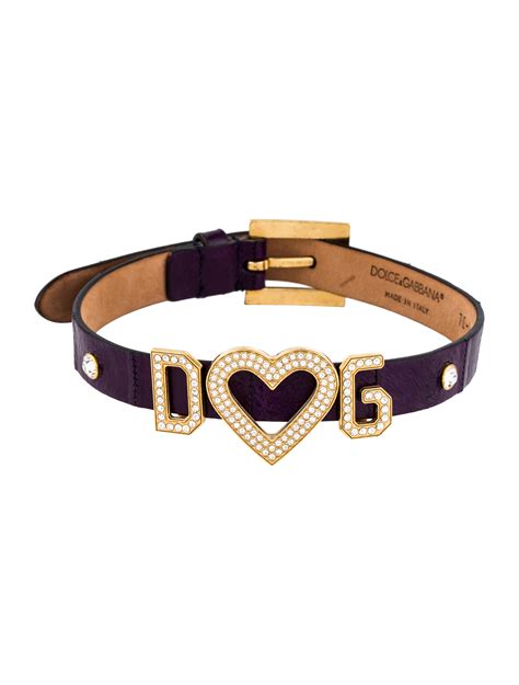 dolce and gabbana dog accessories